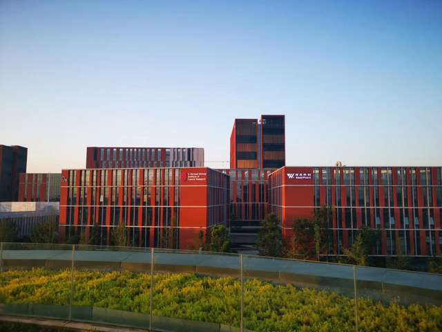 北京斑马鱼毒理实验